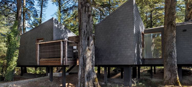 佩德拉什萨尔加达什Spa及自然公园酒店(Pedras Salgadas Spa & Nature Park)图片