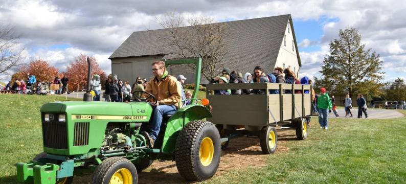 苹果箱旅馆(Apple Bin Inn)图片