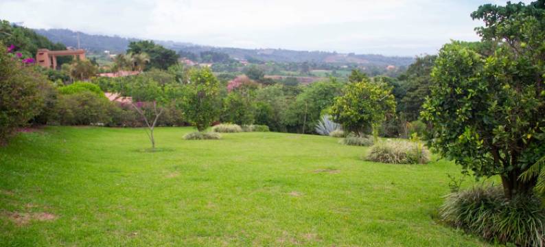 芬卡维伯兰家庭旅馆(Finca Vibran Bed and Breakfast)图片