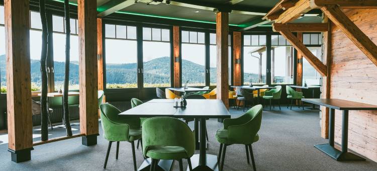 博登迈斯自然酒店(Natura Hotel Bodenmais - Inkl Soft- Und Heißgetränkeflat)图片