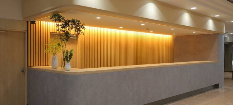 新板屋酒店(Hotel Newitaya)图片