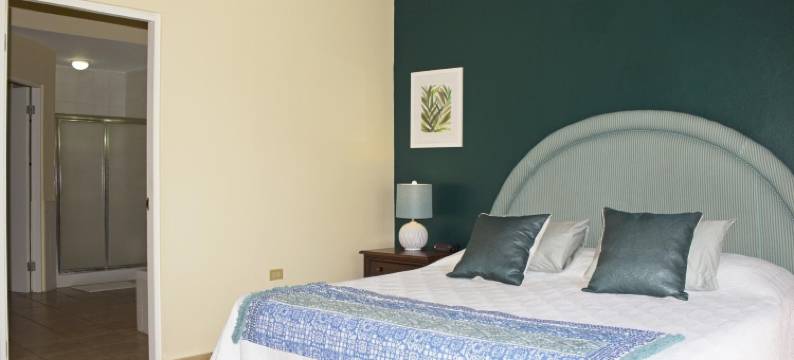 棕榈景观(Palm View)图片