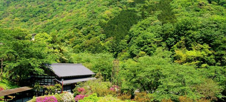 雉子亭丰荣庄旅馆(Kijitei Hoeiso)图片
