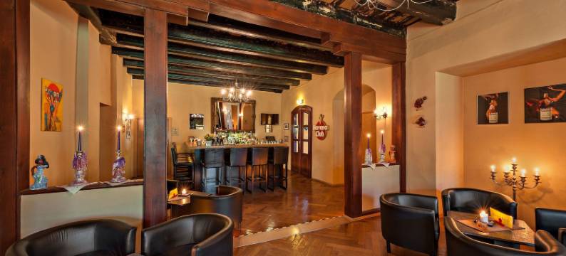 阿申瑞尼兹斯加罗酒店(Schloßhotel Althörnitz Neubau)图片