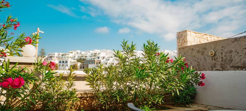 阿多尼斯公寓酒店(Adonis Hotel Studios & Apartments)图片