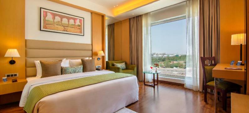 索内帕特索罗瓦波蒂科酒店(Sarovar Portico Sonipat)图片