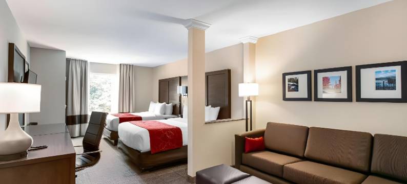 菲什基尔 84 号州际公路附近舒适全套房酒店(Comfort Suites Fishkill Near Interstate 84)图片