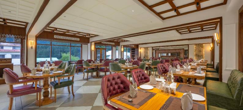 雪山谷度假酒店(Snow Valley Resorts & Spa Manali)图片