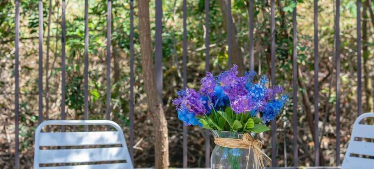 宁静自然度假屋，私人花园，舒适魅力(Tranquil Nature Retreat Private Patio & Cozy Charm)图片