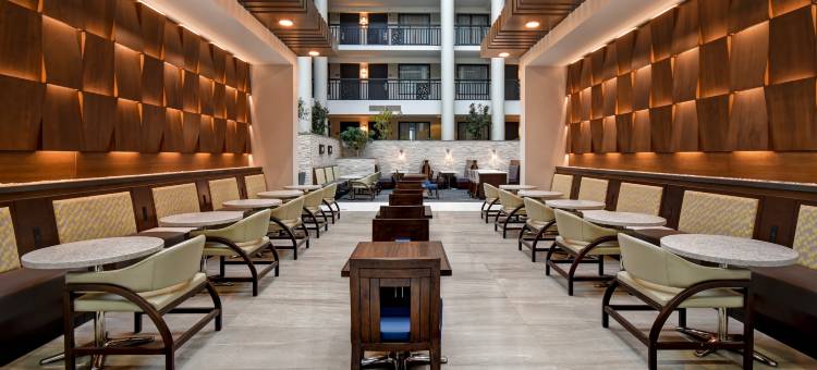 锡拉库兹希尔顿安泊酒店(Embassy Suites by Hilton Syracuse)图片