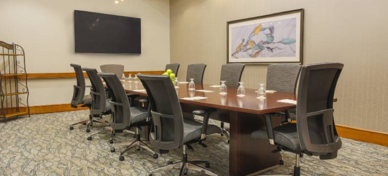 罗彻斯特希尔顿逸林酒店(DoubleTree by Hilton Hotel Rochester)图片