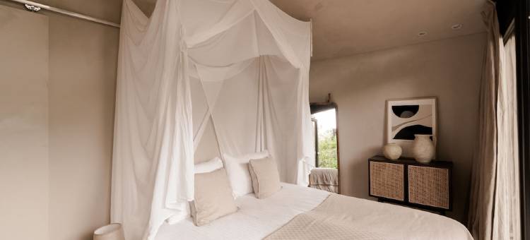 Luxury Spa Tiny House with hottub, in the woods, Japandi style图片