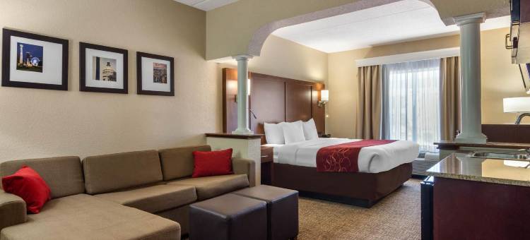 伍德斯托克舒适套房酒店- 亚特兰大北(Comfort Suites Woodstock - Atlanta North)图片