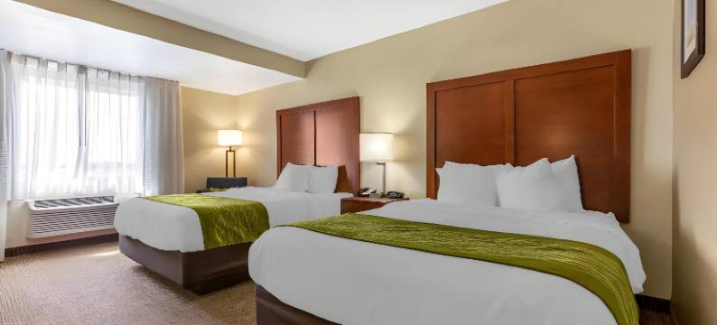 凤凰城北/鹿谷舒适套房酒店(Comfort Inn & Suites Phoenix North - Deer Valley)图片