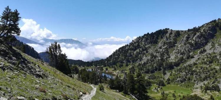 Studio in Chamrousse near Ski Resort图片