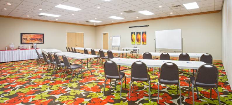 智选假日套房酒店列克星敦(Holiday Inn Express & Suites LEXINGTON by IHG)图片