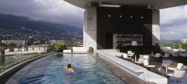 蒙特雷哈比塔酒店 - 设计酒店会员(Habita Monterrey, a Member of Design Hotels)图片