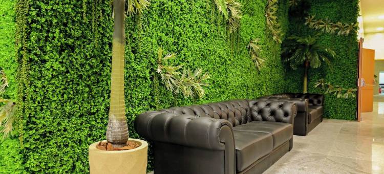 布里斯托尔马兰拜亚贝伦(Bristol Marambaia Belém)图片