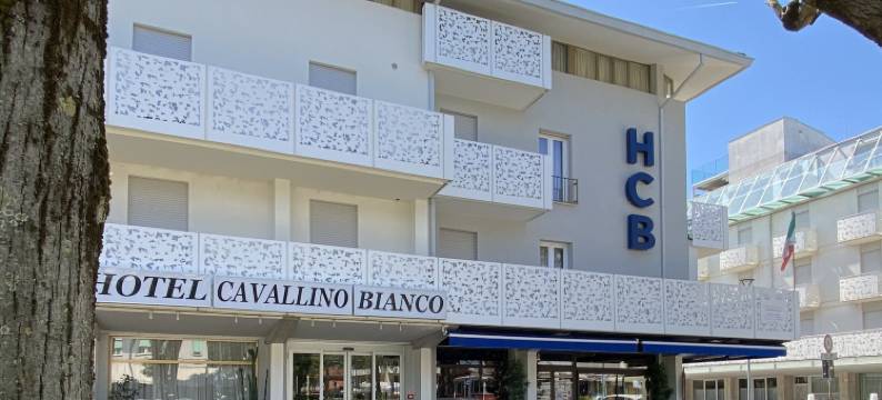 卡瓦利诺比安科酒店(Hotel Cavallino Bianco)图片