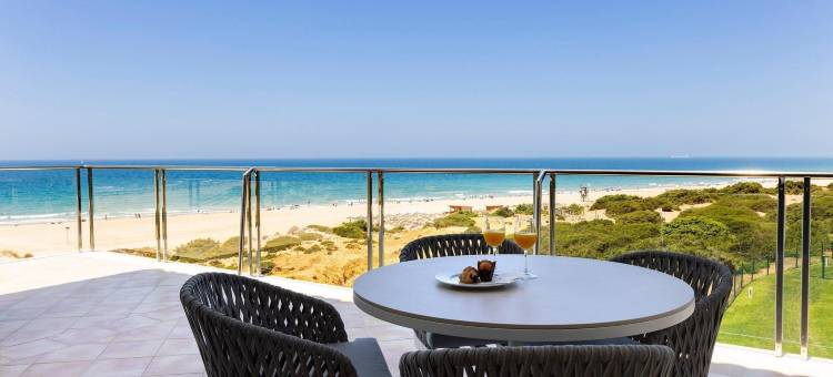 巴罗萨皇宫酒店(Hipotels Barrosa Palace & Spa)图片