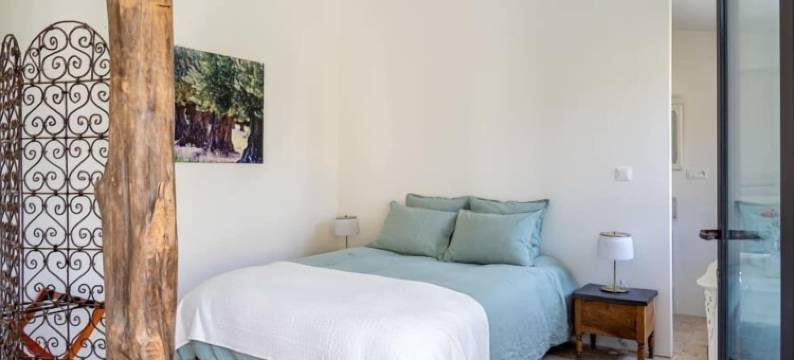 普勒斯之家客房(Le Mas des Poules chambres d'hotes de charme)图片