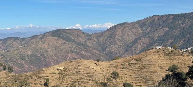 米特拉度假村(Mithra Resort)图片