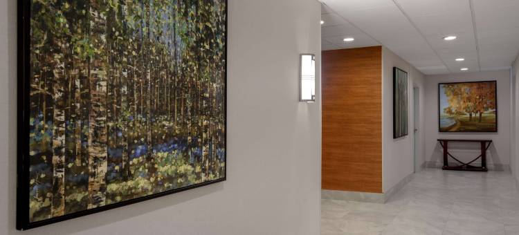 希尔顿欢朋酒店-安大略布兰普顿多伦多(Hampton Inn by Hilton Brampton Toronto)图片