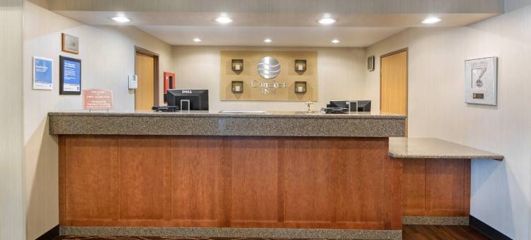 铁山北部的舒适酒店(Comfort Inn)图片