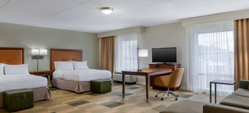 奥尔巴尼中心欢朋套房酒店(Hampton Inn & Suites Albany-Downtown)图片