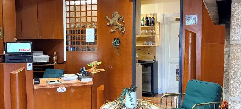 雄狮酒店(Logis Hôtels - Hôtel et Restaurant le Lion d'Or)图片