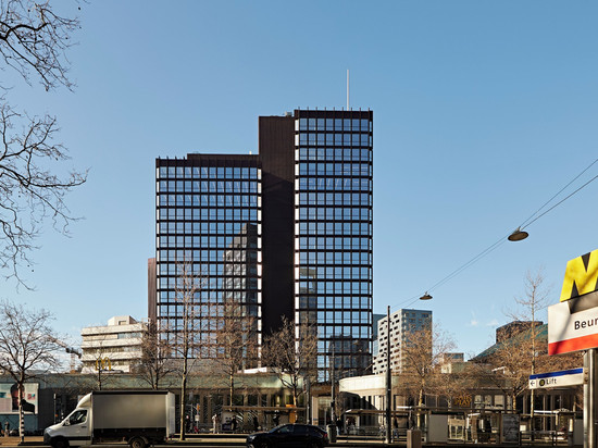 鹿马鹿特丹库尔辛格尔