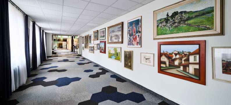 威斯特贝斯特韦斯特酒店(Best Western Hotel Vista)图片