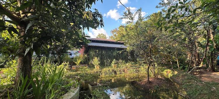 锡兰威尔帕图度假村(Ceylon Resort Wilpattu)图片