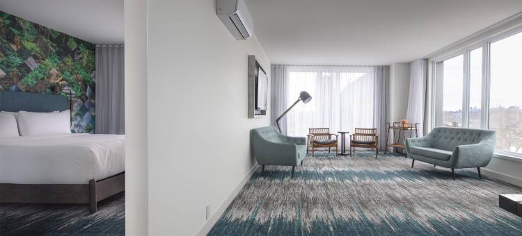 帆布蒙古顿酒店，希尔顿启缤精选(Canvas Moncton, Tapestry Collection by Hilton)图片
