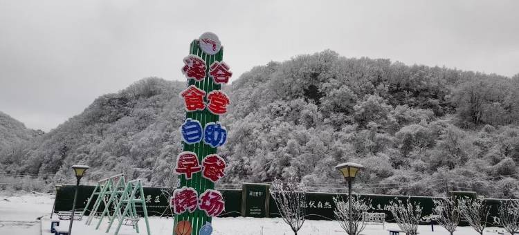 汤沟温泉林溪小住公寓(胡汤线分店)图片