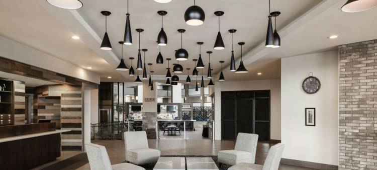 底特律诺维福朋喜来登酒店(Four Points by Sheraton Detroit Novi)图片
