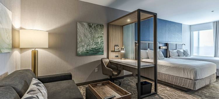 韦恩堡北SpringHill Suites酒店(SpringHill Suites Fort Wayne North)图片