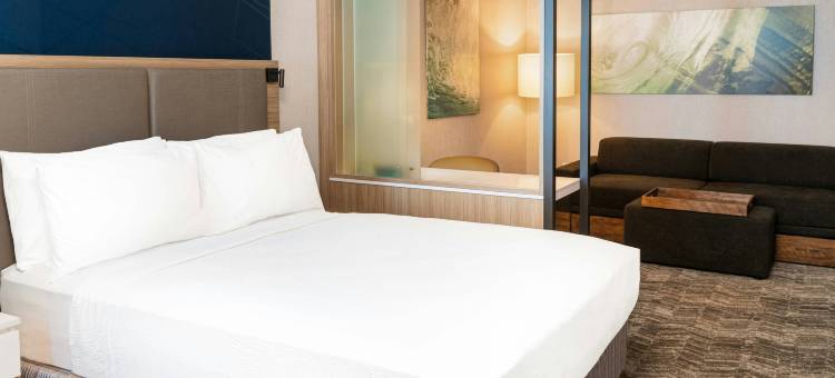 尔湾森林湖SpringHill Suites套房酒店(SpringHill Suites Irvine Lake Forest)图片