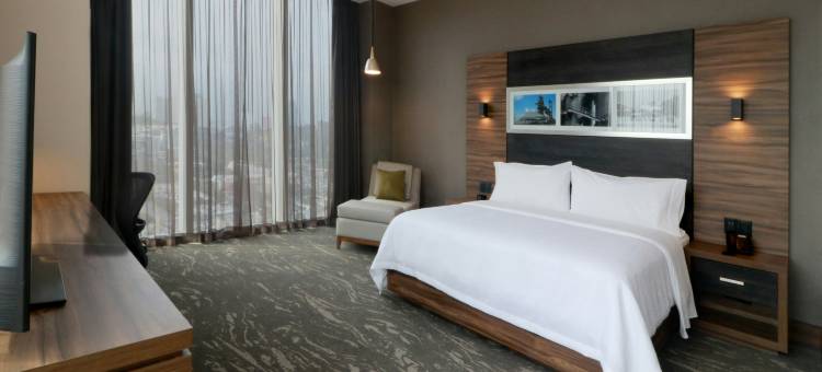 蒙特雷欧比斯帕多希尔顿花园酒店(Hilton Garden Inn Monterrey Obispado)图片