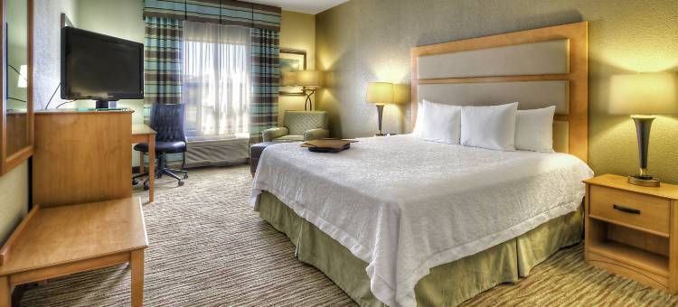 卡拉马祖奥施蒂莫欢朋酒店及套房(Hampton Inn & Suites Kalamazoo/Oshtemo)图片