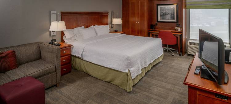 查尔斯顿市中心欢朋酒店(Hampton Inn Charleston-Downtown (Civic Center))图片