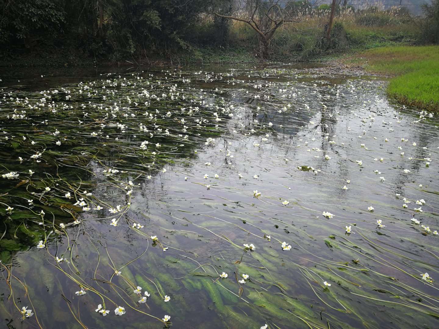 暑期带着孩子一路自驾游过来，小镇很美，宾馆属于民宿位置很好，停车方便，房间方正明亮，也比较干净，老板