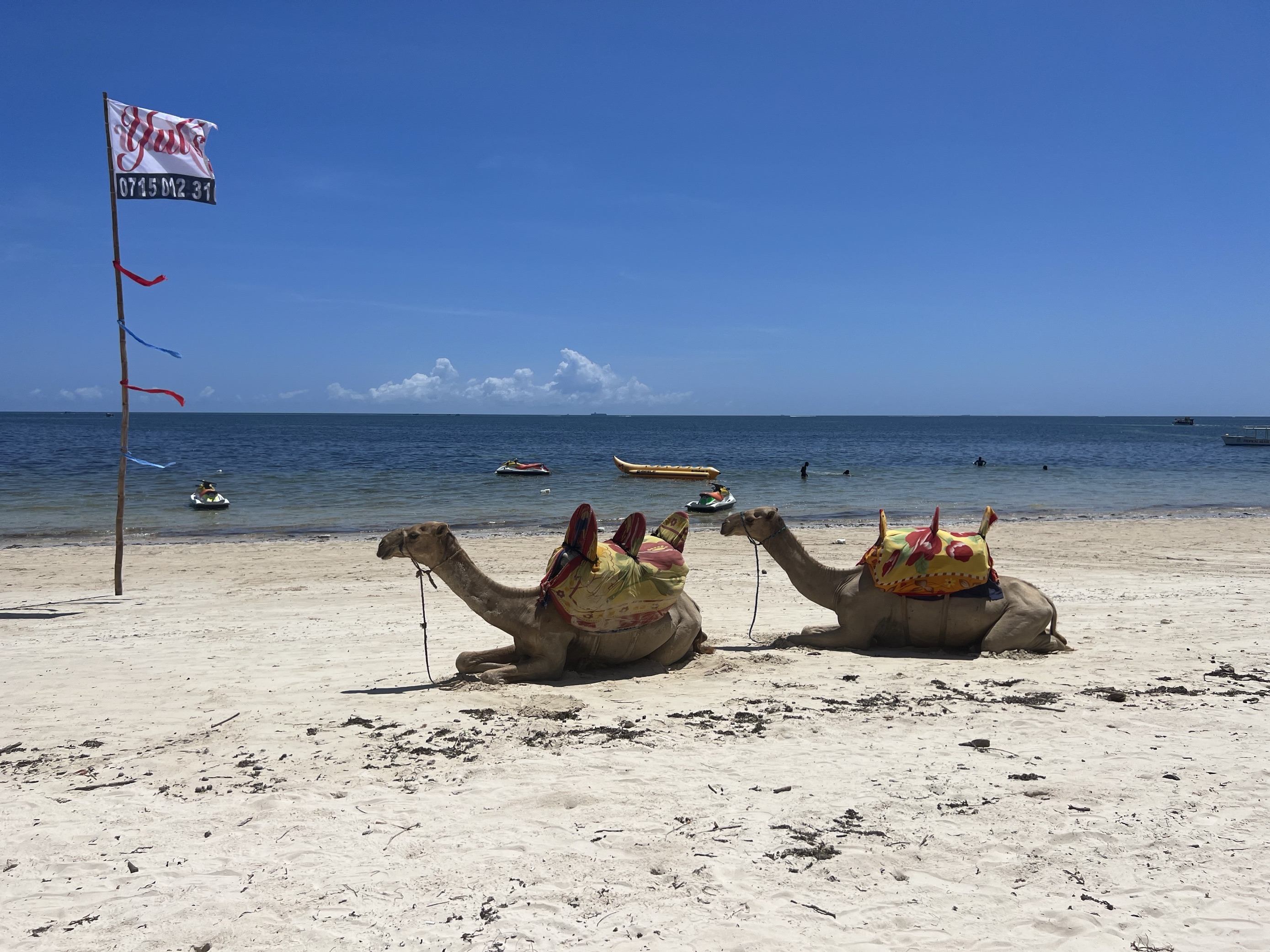 蒙巴萨的海滩还是很漂亮的，这个酒店位置很好，临近海滩🏖️，出去玩的话很方便，就是酒店太老了。旁边就有