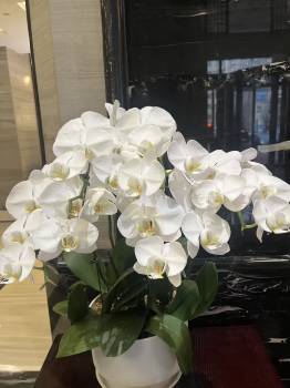武汉餐饮业：舌尖上的美食传承