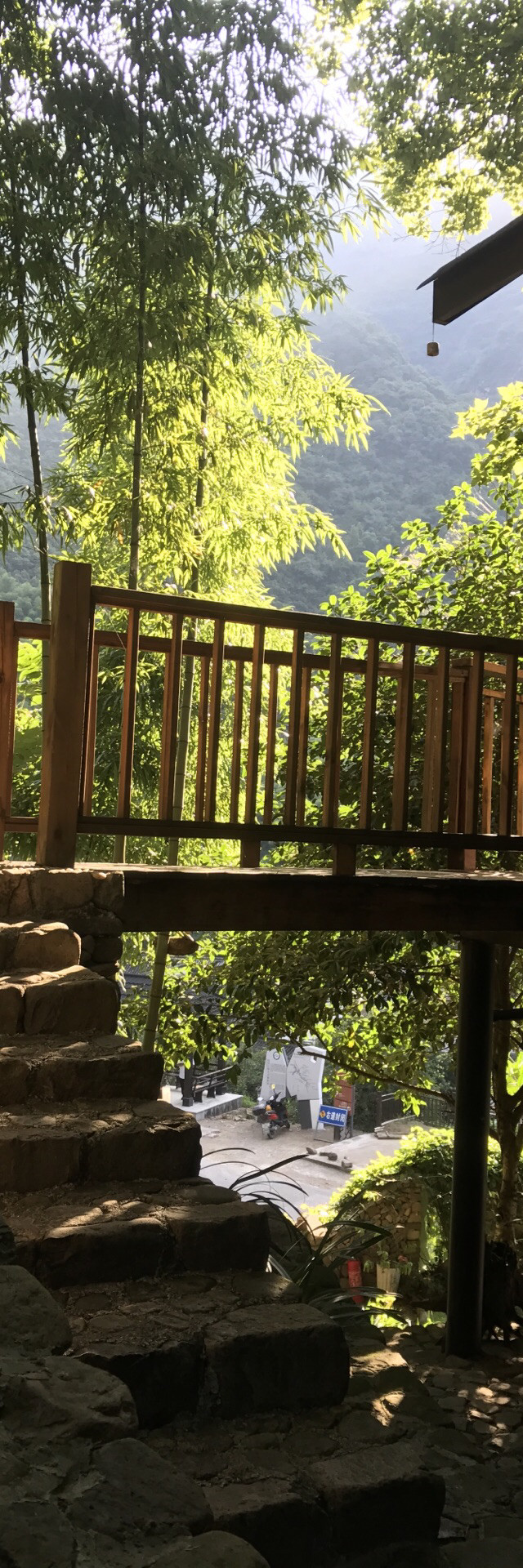 桐庐爪哇树屋王国树屋民宿出游|住宿测评