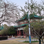 酒店图片