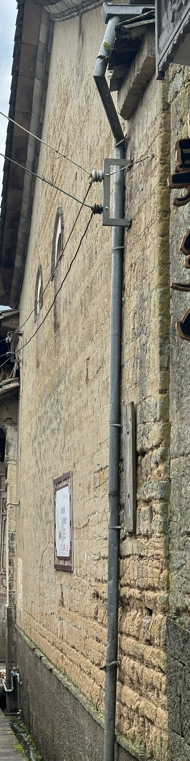 环境:院子布置的特别漂亮 种满了绿植和各种花 非常