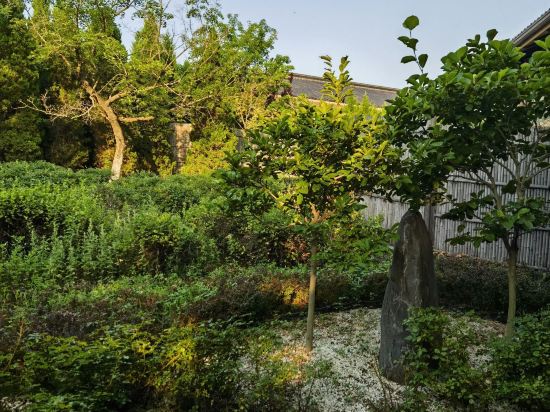 大连汤景泽日式温泉酒店