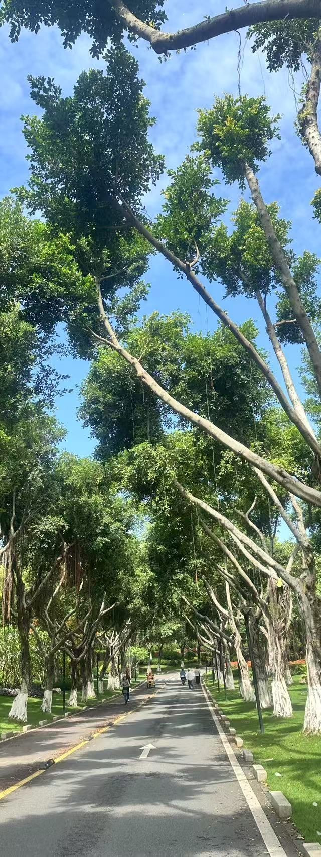 酒店入住体验很不错,设施设备很齐全服务员