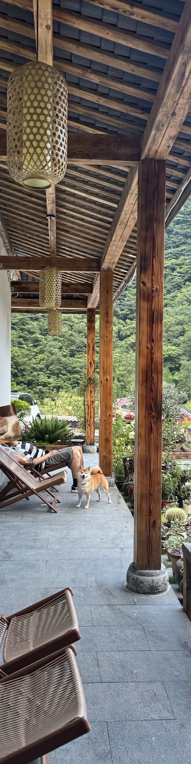 来神农架住的第一个民宿